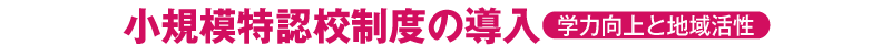小規模特認校制度の導入 ~学力向上と地域活性~
